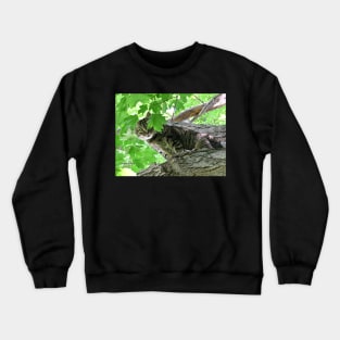 Peek-a-Boo Crewneck Sweatshirt